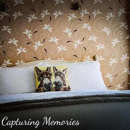 Morningside * Whitby